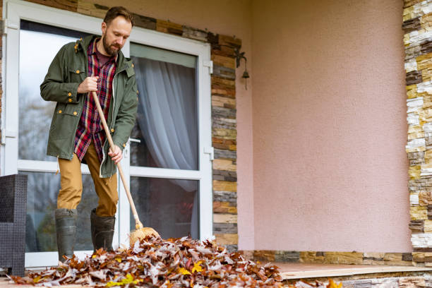 Best Attic Cleanout Services  in Hasley Nyon, CA